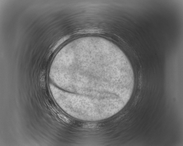 X0000085001162200704021326