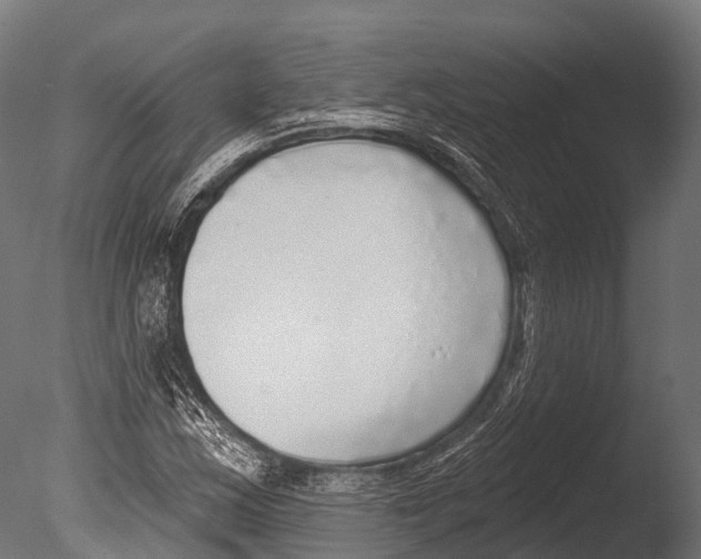 X0000085001163200704021326