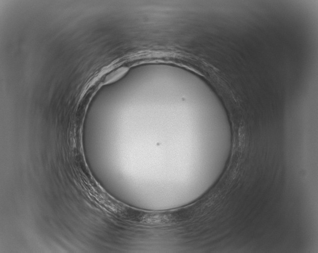 X0000085001165200704021326