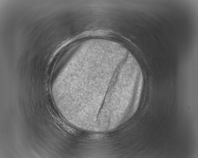 X0000085001166200704021326