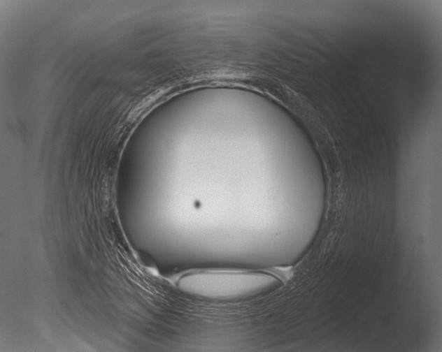 X0000085001169200704021326