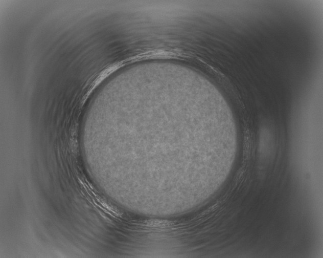 X0000085001170200704021326