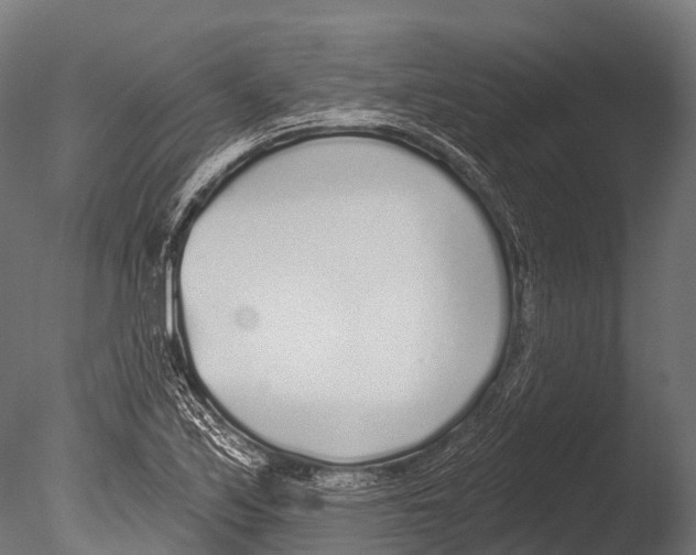 X0000085001171200704021326