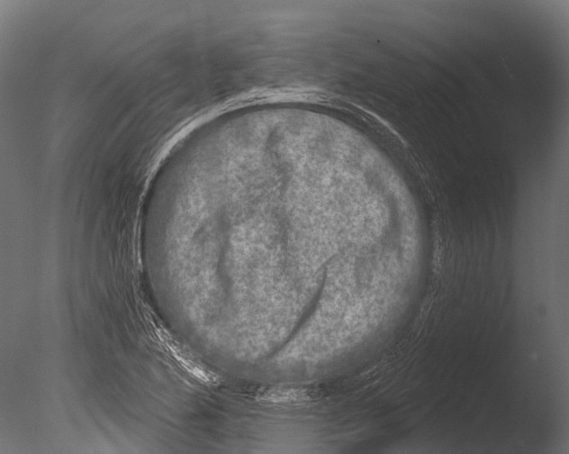 X0000085001174200704021326