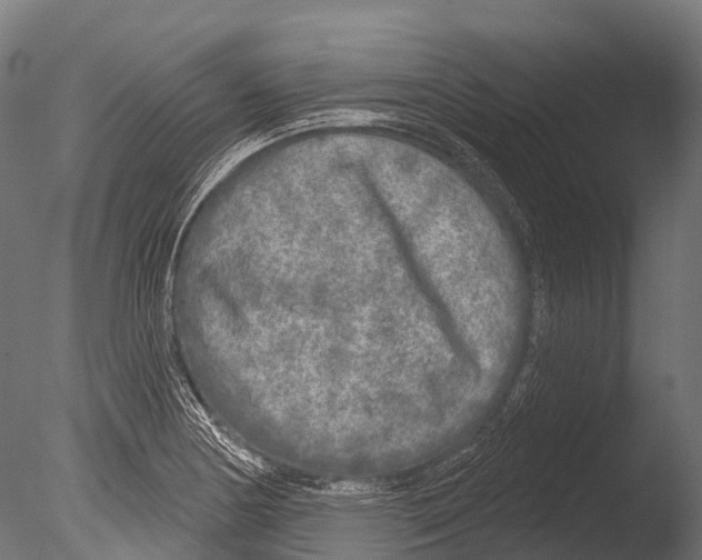 X0000085001178200704021326