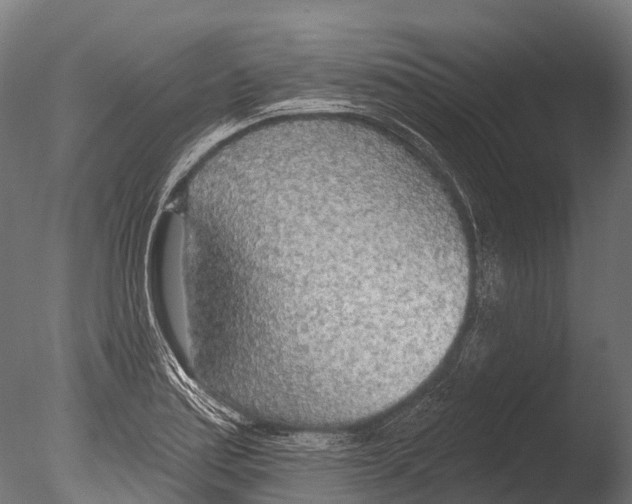 X0000085001179200704021326