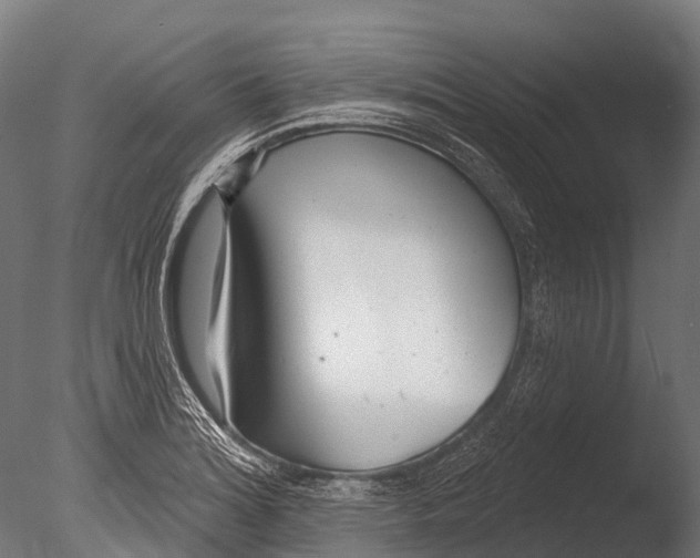 X0000085001180200704021326