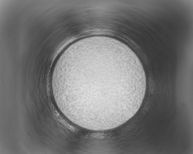 X0000085001182200704021326