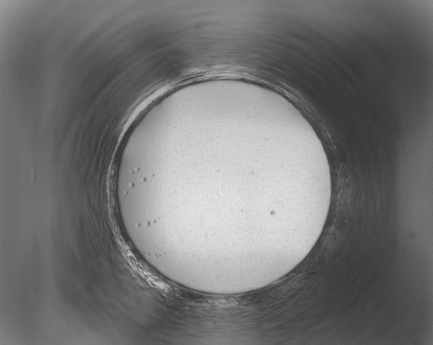 X0000085001190200704021325