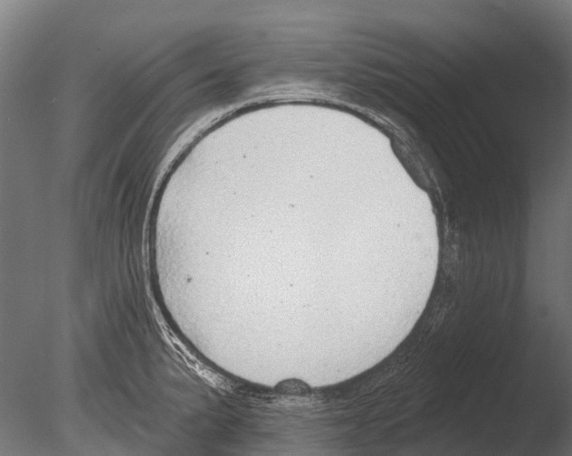 X0000085001191200704021325