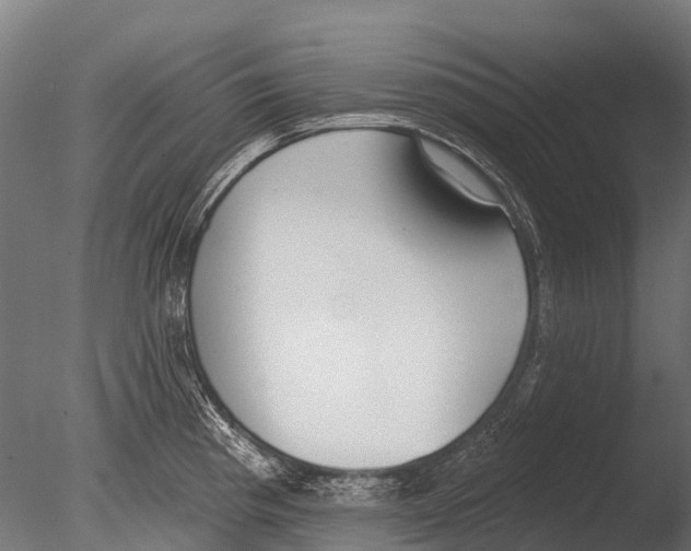 X0000085001193200704021325