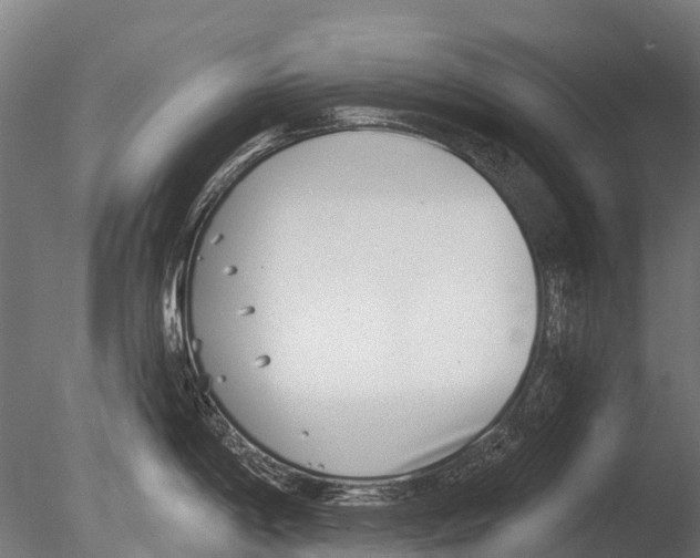 X0000085001198200704021325