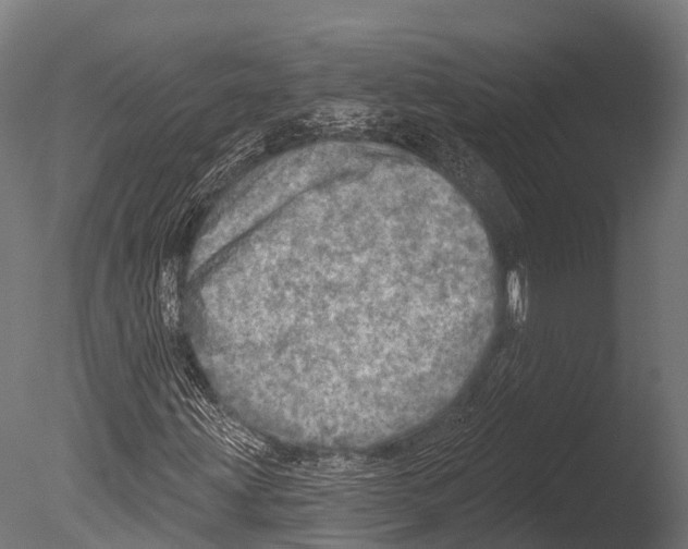 X0000085001203200704021324