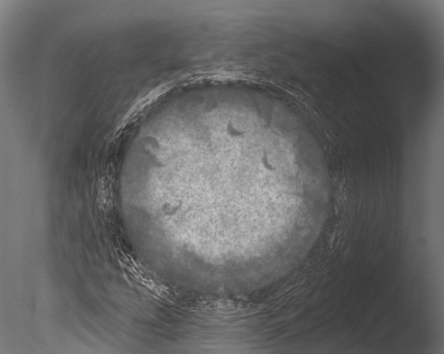 X0000085001207200704021324