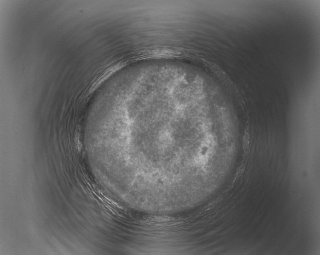 X0000085001209200704021325