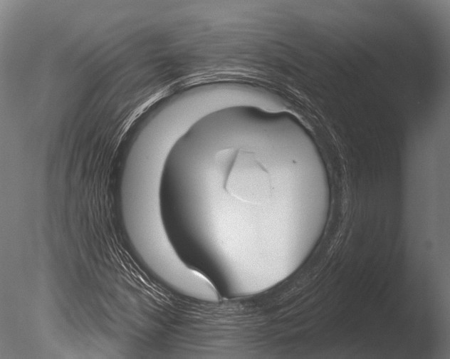 X0000085001210200704021325