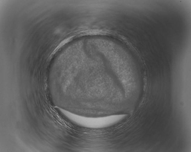 X0000085001213200704021325