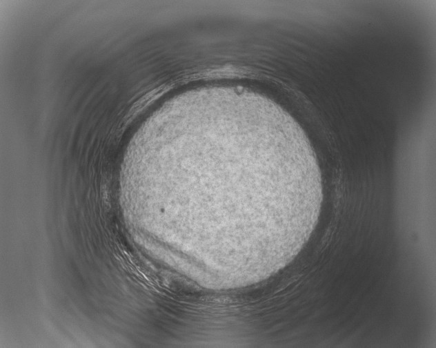 X0000085001217200704021325