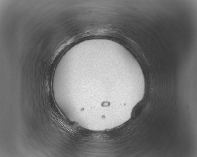 X0000085001218200704021325