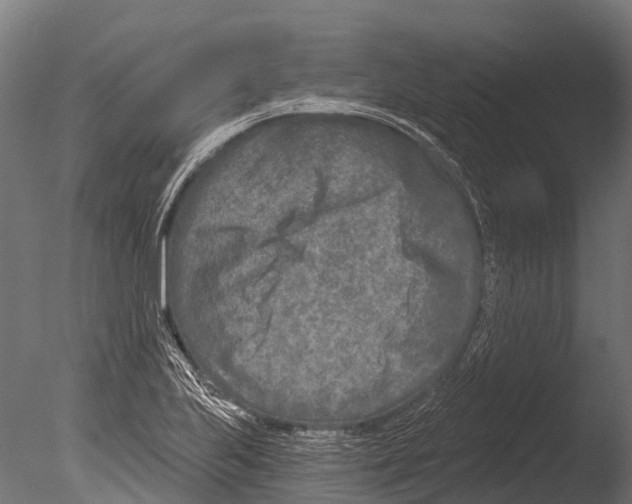 X0000085001223200704021325