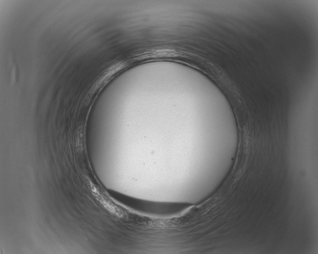 X0000085001225200704021325