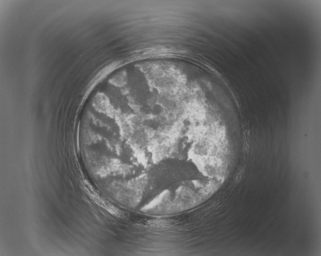 X0000085001227200704021325