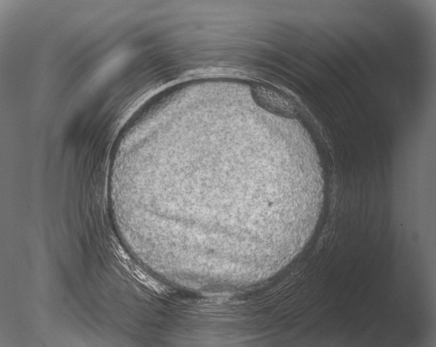 X0000085001228200704021325