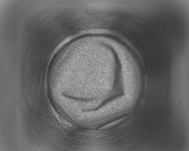 X0000085001229200704021325