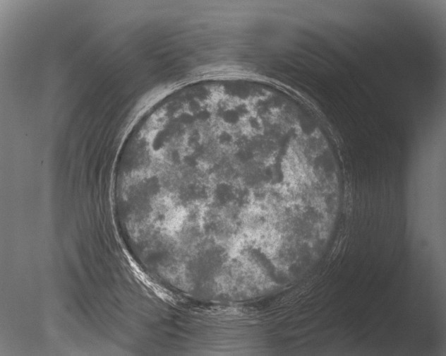 X0000085001231200704021325