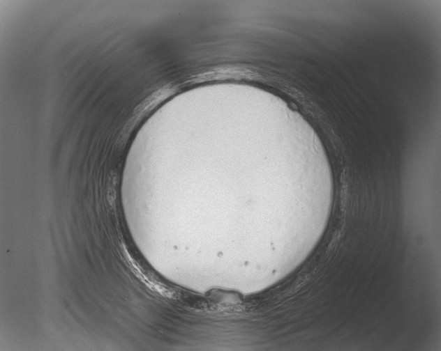 X0000085001233200704021325