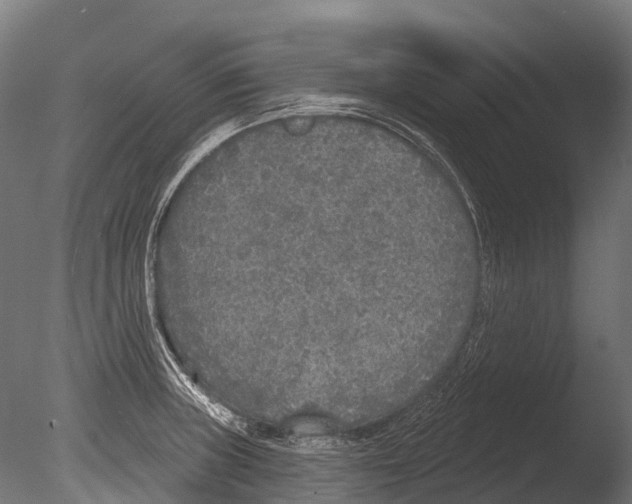 X0000085001235200704021325