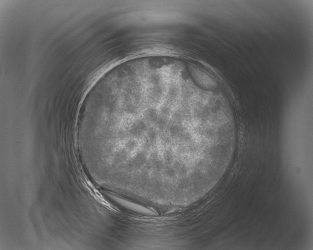 X0000085001236200704021325