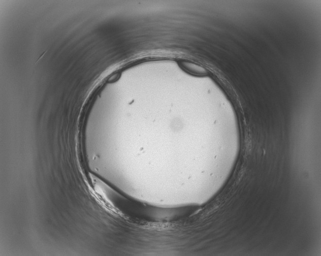 X0000085001237200704021325