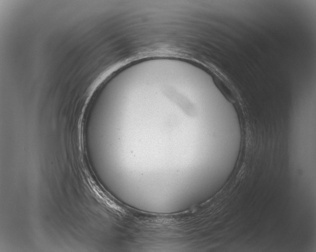 X0000085001238200704021325