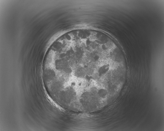 X0000085001239200704021325