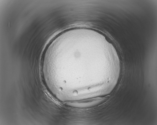 X0000085001240200704021325