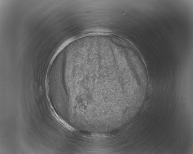 X0000085001243200704021325