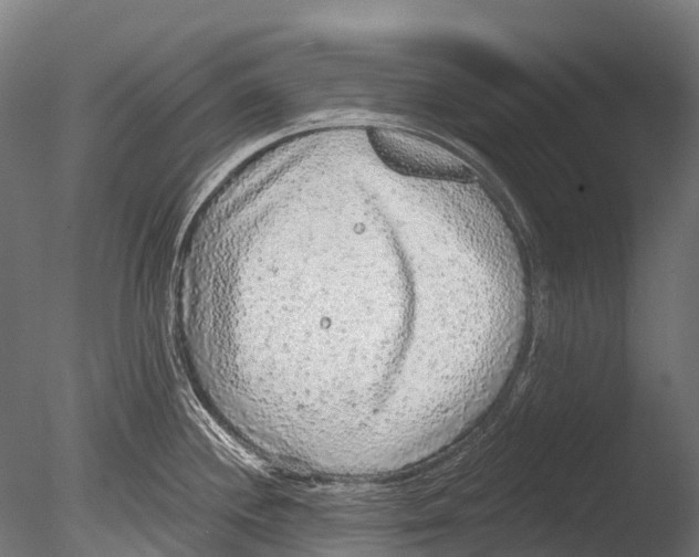 X0000085001244200704021325