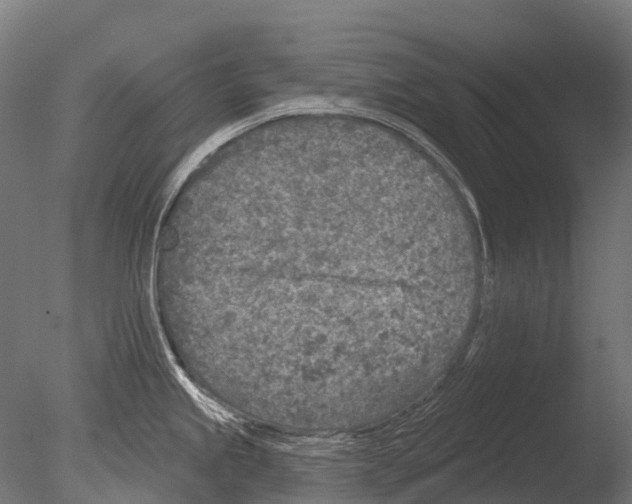 X0000085001245200704021325