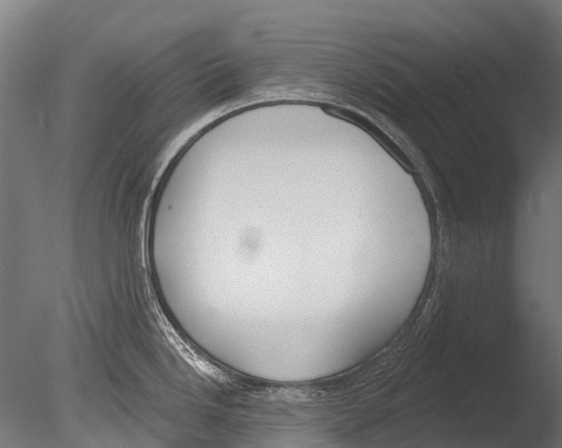 X0000085001246200704021325