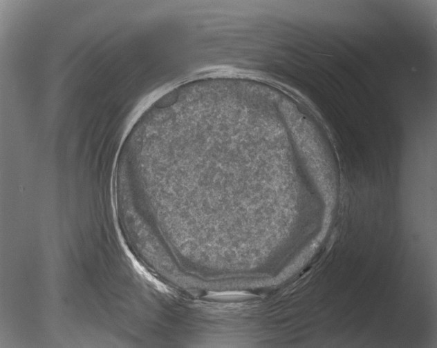 X0000085001247200704021325