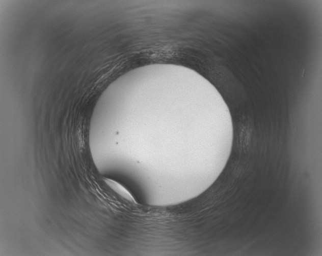 X0000085001250200704021324