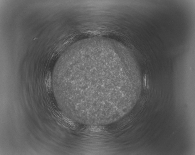 X0000085001251200704021324