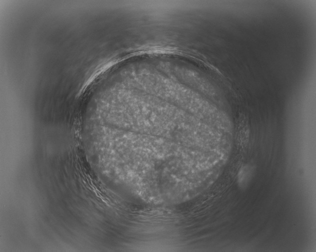 X0000085001255200704021324