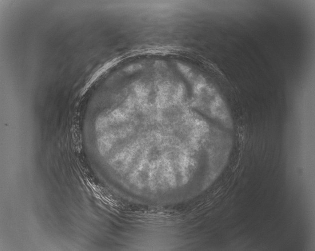 X0000085001256200704021324