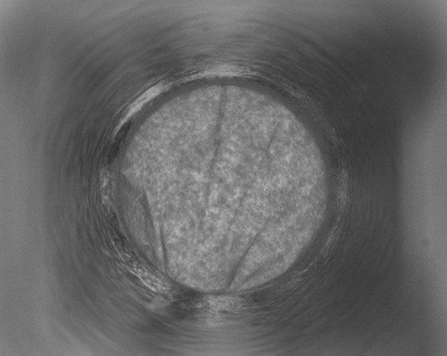 X0000085001258200704021324