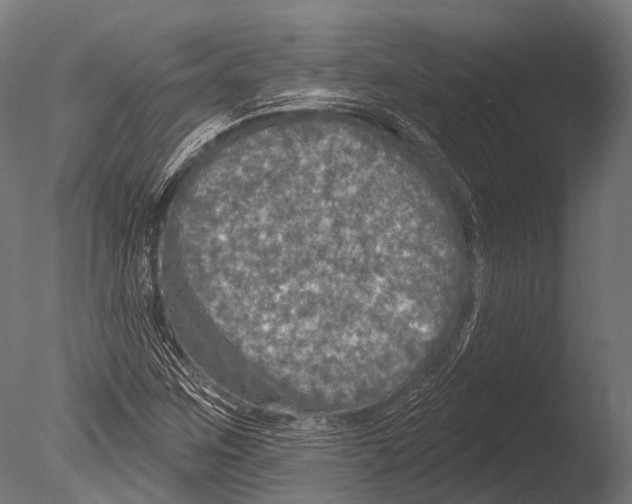 X0000085001259200704021324