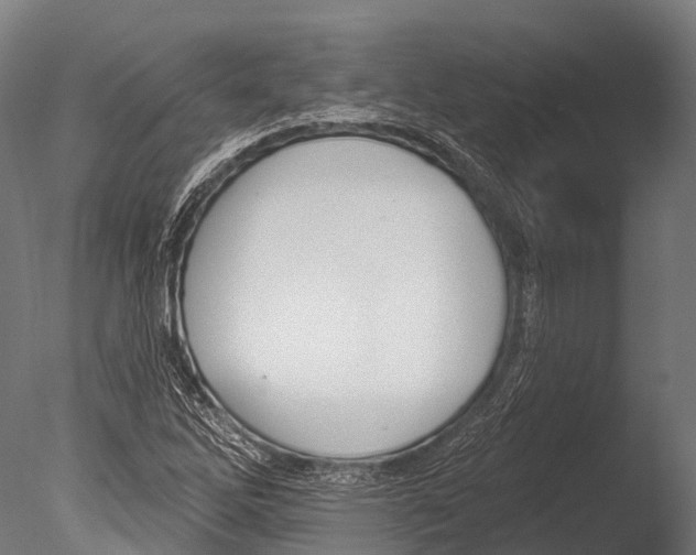 X0000085001262200704021324