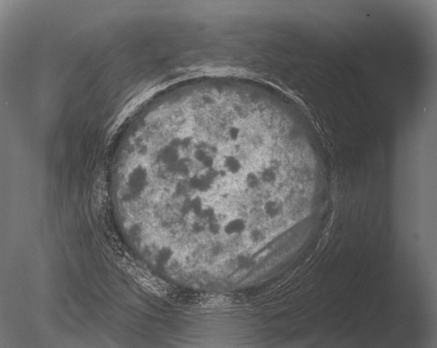 X0000085001263200704021324