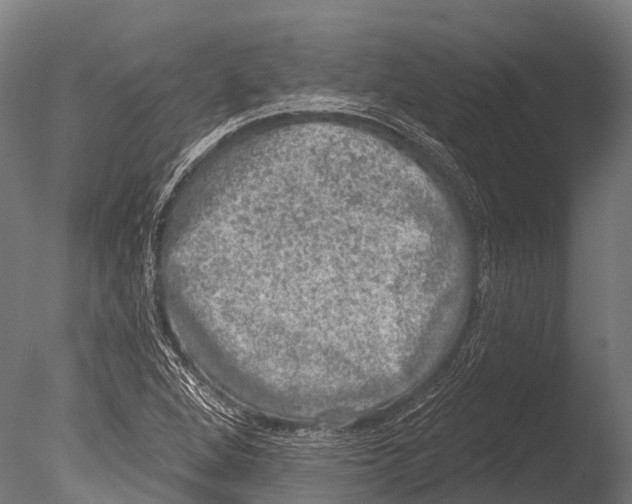 X0000085001264200704021324